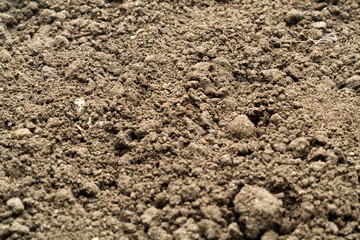 soft soil