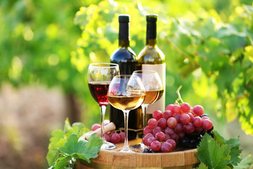 Fototapeta na wymiar Tasty wine on wooden barrel on grape plantation background