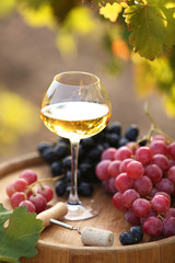 Wineglass and grape