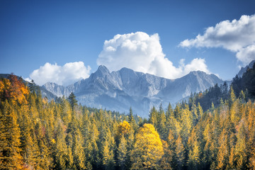 autumn alps