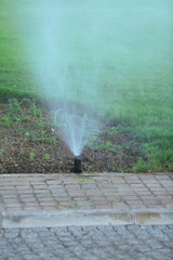 Fototapeta na wymiar Automatic sprinklers watering grass