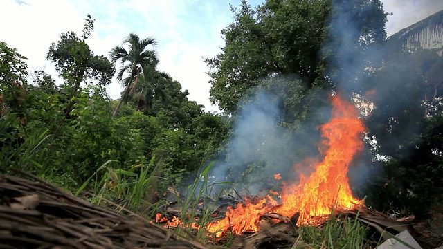 Forest fire on Koh Samui jungle. Thailand. HD. 1920x1080