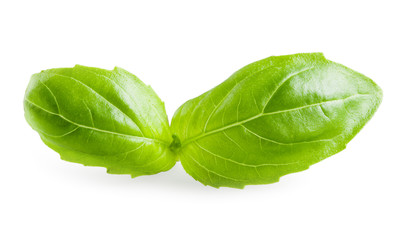 Fototapeta premium Basil leaves isolated on white background