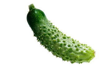 green cucumber