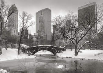 Winter scene in Manhattan: the Pond, Gapstow Bridge and Manhatta