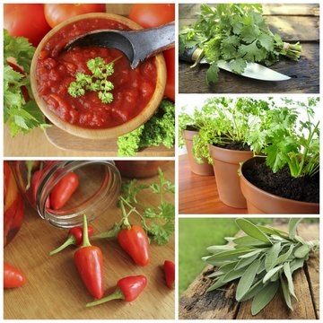 Collage of fresh herbs
