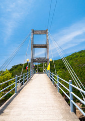 In Steel and Concrete Walk across the River