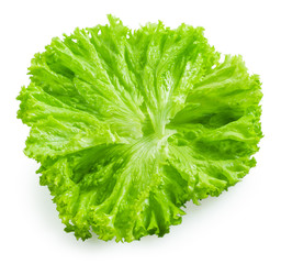 Fototapeta na wymiar Salad. Lettuce isolated on white background