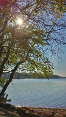 Sonne scheint am See durch die Bäume