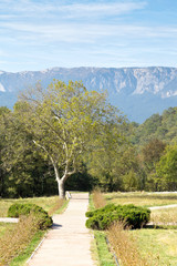 garden of massandra palace in Crimea