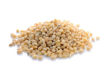 job's tears isolated on white background