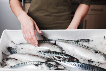 Woman with box of mackerel
