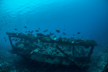 Wreck and fishes in Gili, Lombok, Nusa Tenggara Barat underwater