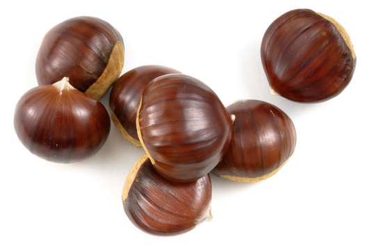chestnuts