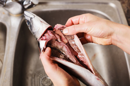 Gutting and cleaning a fish