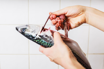 Gutting and cleaning a fish