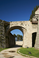 Fototapeta na wymiar castello di Brescia