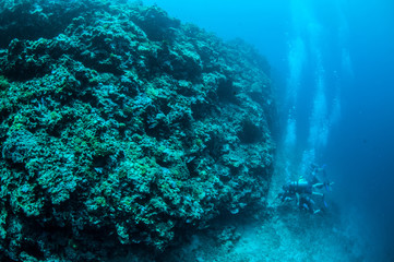 Fototapeta na wymiar Divers,meno wall, Gili Lombok Nusa Tenggara Barat underwater