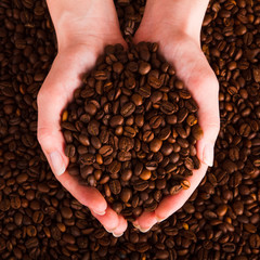 Coffee beans pouring out of cupped hands