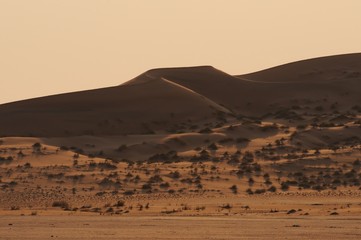 Fototapeta na wymiar Düne der Namib bei Gobabeb im Abendlicht