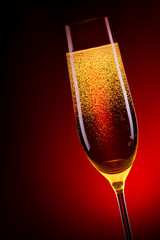 luxury glass of champagne