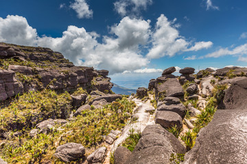 View from the plateau Roraima to Gran Sabana region - Venezuela
