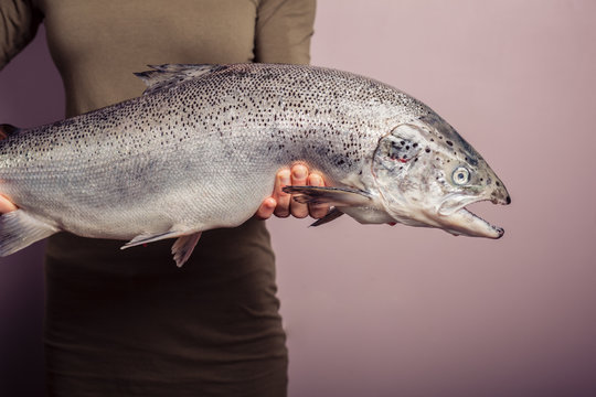 Young Woman Holding A Big Salmon