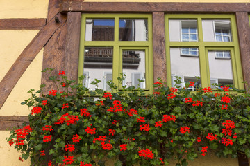 Fototapeta na wymiar Fachwerkhaus mit Blumenkasten in Tübingen,Deutschland