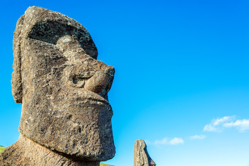 Moai Closeup