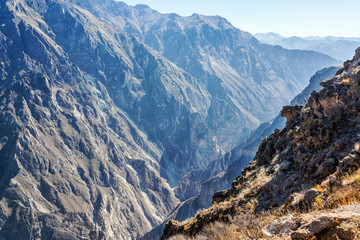 Colca Canyon View