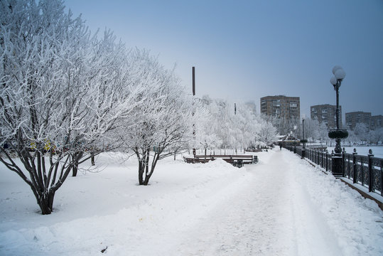 Fototapeta Snow Donetsk, Ukraine. Snowy embankment, snowy trees.