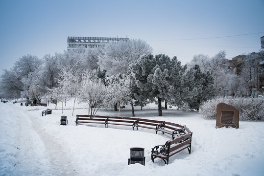 Fototapeta Snow Donetsk, Ukraine. Snowy embankment, snowy trees.
