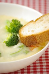 クリームシチュー