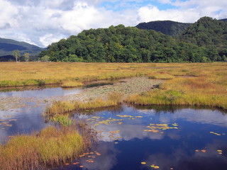 尾瀬ヶ原と池塘
