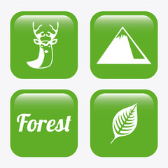 forest camping design