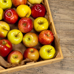 Wooden crate box full of fresh apples