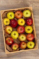 Wooden crate box full of fresh apples