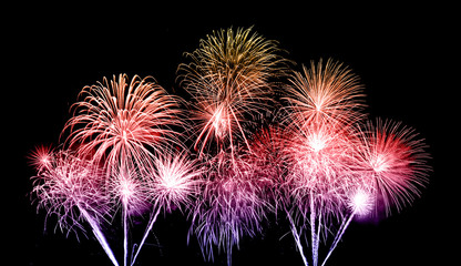 fireworks over sky