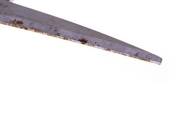 scissors rusty isolated