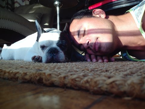 French Bulldog Annoyed by her owner