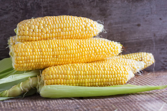 Fresh sweet corn cobs