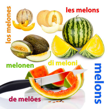 Photos of different varieties of melons and the translations