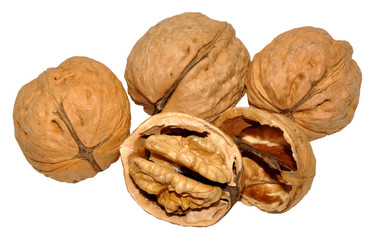 Walnuts Isolated On White