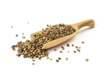 Wooden spoon with hemp seeds on white background