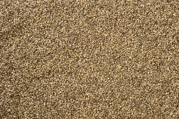 Full frame photo of hemp seeds for background