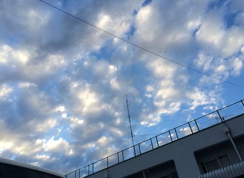 屋上