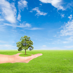 Green Earth concept,hand holding tree