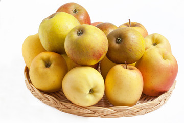 Pommes Tentation - Malus domestica - en vrac dans une corbeille