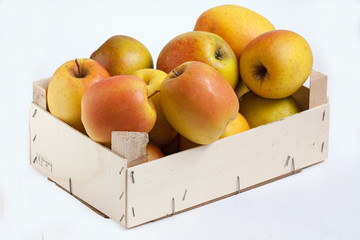Pommes Tentation - Malus domestica - en vrac dans un cageot