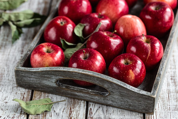 Apples